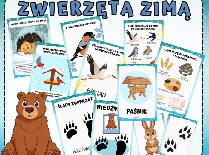 ZESTAW ZWIERZĘTA ZIMĄ, PTAKI ZIMĄ,