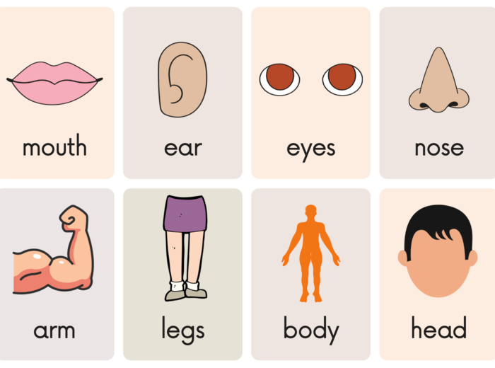 Angielski. Body Parts - What is missing?