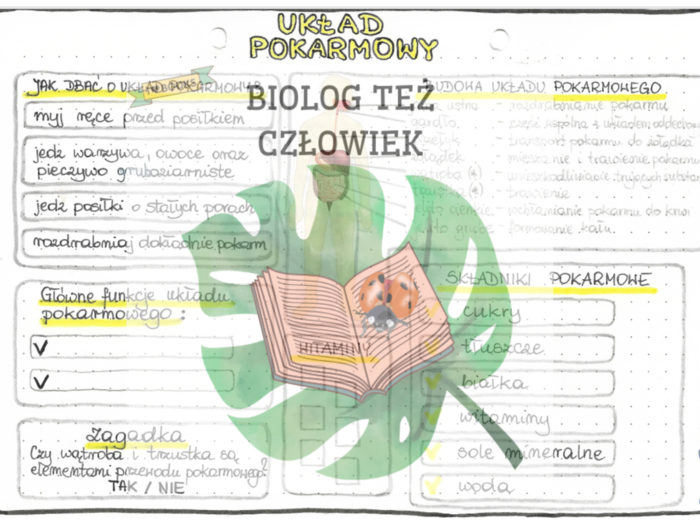 PRZYRODA - Ciało człowieka - Układ pokarmowy - kolor