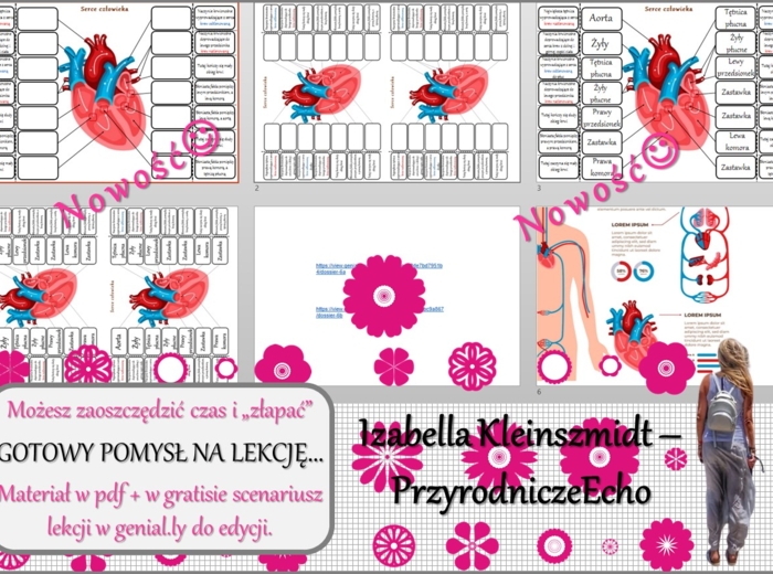 Pomysł na lekcję/karta pracy/stacje zadaniowe/materiał do lekcji do tematu „Budowa serca:, „Ciśnienie krwi i tętno”” w pdf. W gratisie niekomercyjny scenariusz lekcji/pomysł na lekcję w programie genial.ly do edycji. Biologia 7. Dział „Układ krwionośny”.