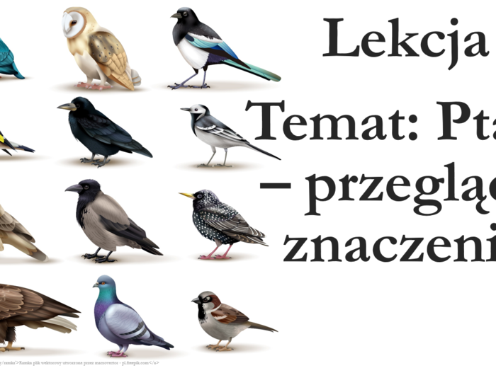 Klasa 6 - Ptaki - przegląd i znaczenie - prezentacja