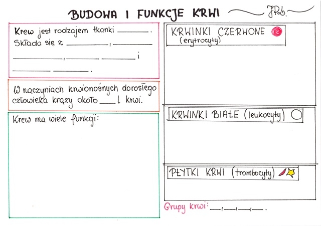 Budowa i funkcje krwi (karta pracy)