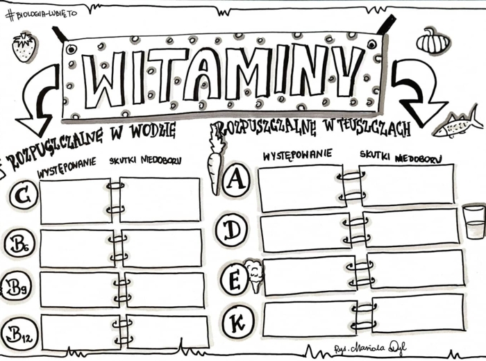 Klasa 7. Biologia. Witaminy (dwie karty pracy: kolorowa + do uzupełnienia)
