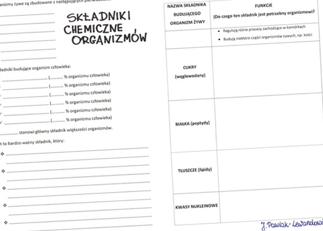 Składniki chemiczne organizmów - KP