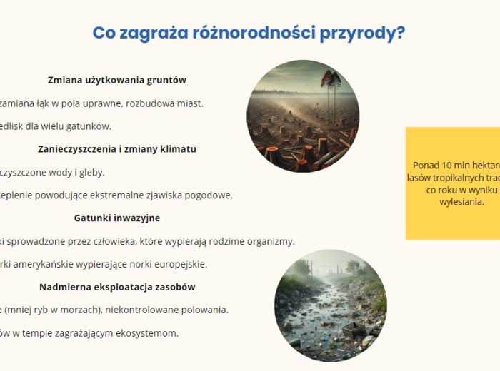 Bioróżnorodność. Prezentacja