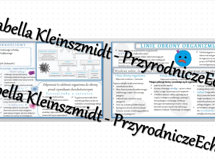 Sketchnotka - notatka „Budowa i funkcjonowanie układu odpornościowego” wykonana w power point do edycji. Biologia 7; „Układ krążenia”
