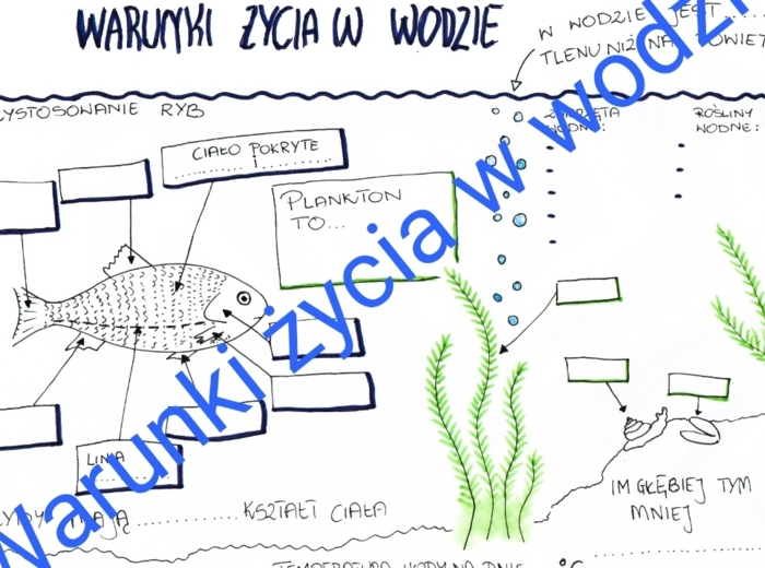 Warunki życia w wodzie
