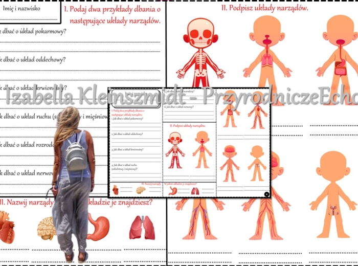 Dwie karty pracy/zadanie do stacji zadaniowych. Podsumowanie wiadomości z działu "Odkrywamy tajemnice ciała człowieka". Przyroda 4.