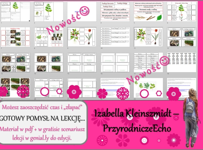 Pomysł na lekcję/karta pracy/stacje zadaniowe/materiał do lekcji do tematu „Pęd – budowa i funkcje łodygi.” w pdf. W gratisie niekomercyjny scenariusz lekcji/pomysł na lekcję w programie genial.ly do edycji. Biologia 5. Dział „Tkanki i organy roślinne”.