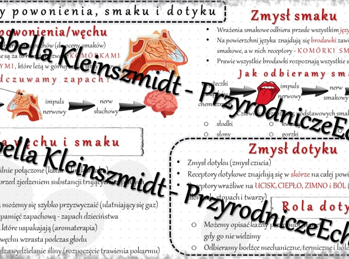 Sketchnotka - notatka „Zmysły powonienia, smaku i dotyku” wykonana w power point do edycji. Biologia 7; „Narządy zmysłów”