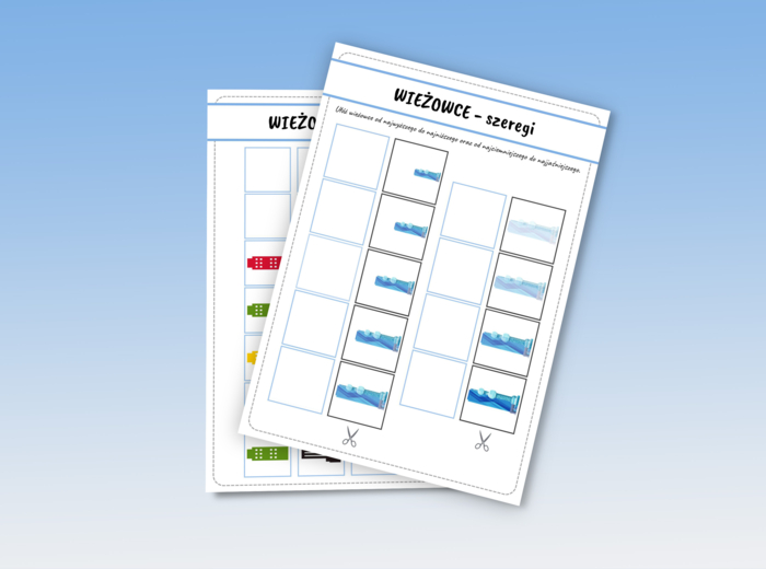 Dzień Wieżowców - PAKIET