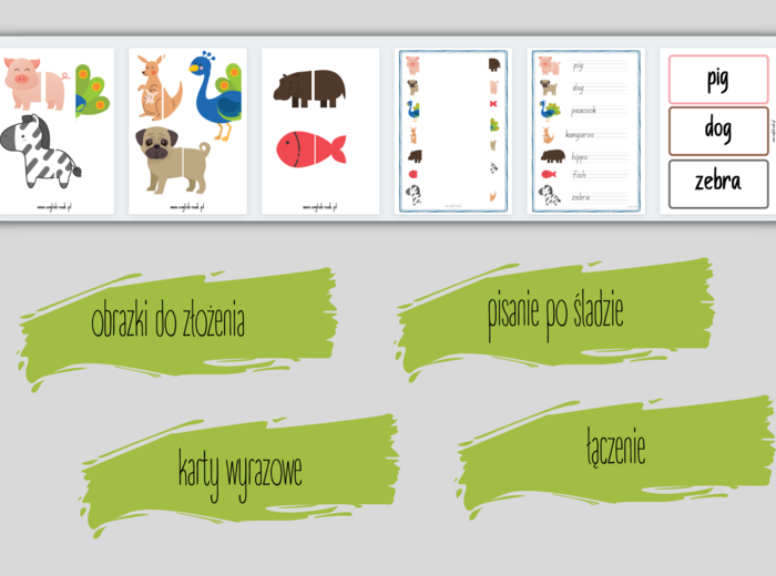 Did you ever see a tail? - materiały do piosenki