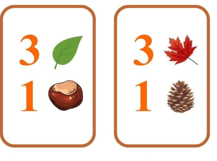 Matematyczna wiewiórka