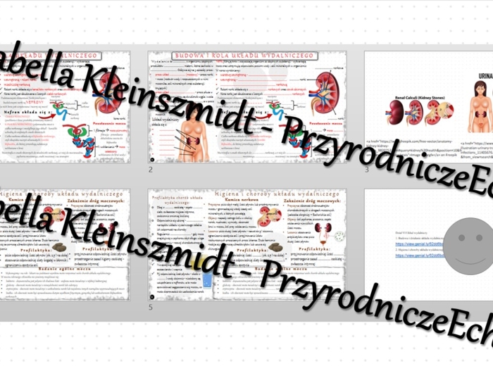 Zestaw sketchnotek i kart pracy + gratisowe linki do prezentacji multimedialnych niekomercyjnych wykonanych w genial.ly do indywidualnego pobrania i użycia do celów niekomercyjnych. Biologia 7, „Układ wydalniczy”
