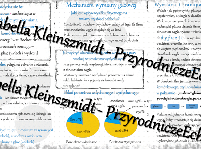 Sketchnotka - notatka „Mechanizm wymiany gazowej” wykonana w power point do edycji. Biologia 7; „Układ oddechowy”