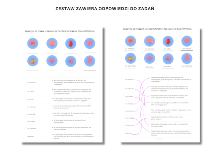 Język Francuski Medyczny, Anatomia, Organy i ich funkcje, Ćwiczenia, Słownictwo, Karty Pracy, Principaux organes du corps humain, Anatomie humaine