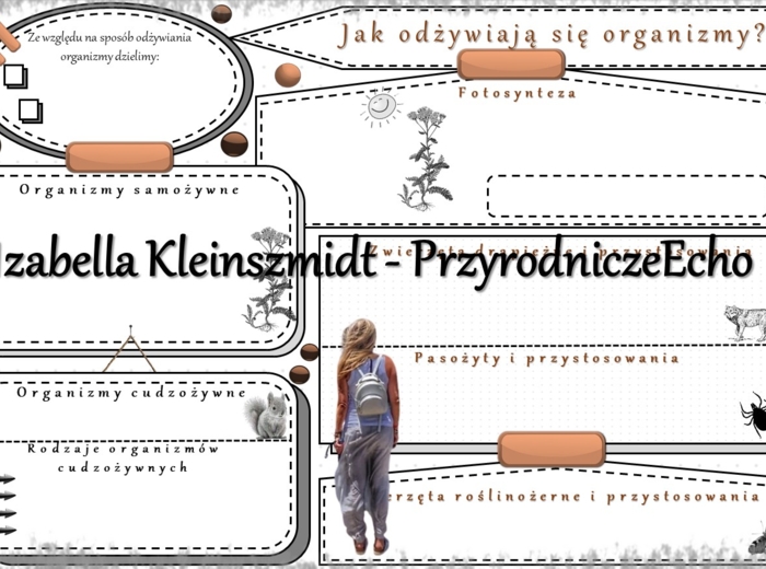 Karta pracy „Jak odżywiają się organizmy?” wykonana w power point do edycji. Przyroda 4, „Środowisko życia organizmów” na podstawie wydawnictwa WSiP