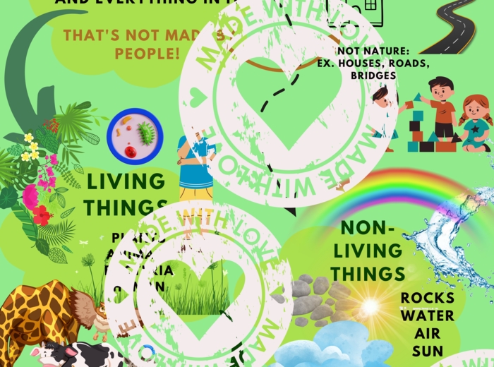 Przyroda/ Science lesson 1