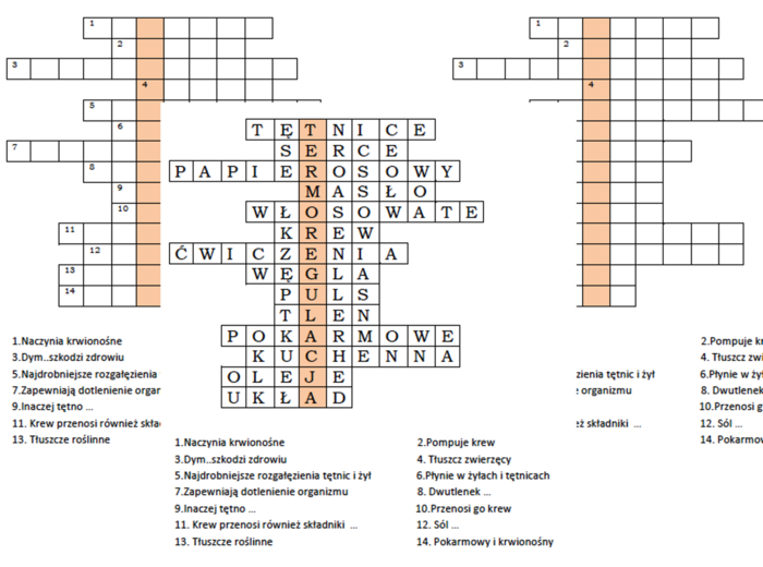 Logogryf na podsumowanie lekcji o układzie krwionośnym