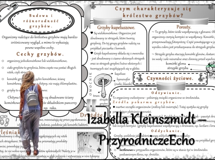 Sketchnotka/notatka/streszczenie/wklejka/ściąga dla ucznia i nauczyciela. Temat „Czym charakteryzuje się królestwo grzybów?” w pdf. Biologia 5 dział „Klasyfikacja i systematyka. Wirusy. Bakterie. Prostisty. Grzyby.”. Wykonana na podstawie podręcznika z w