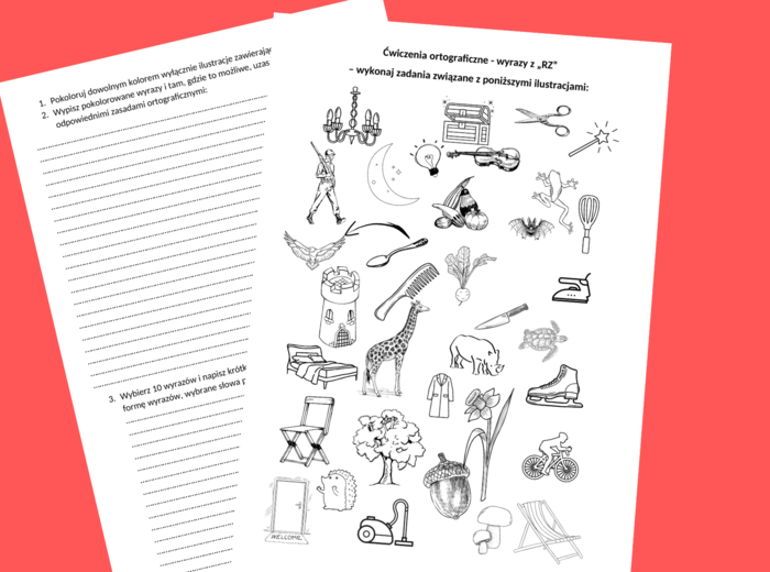 Ortografia – wyrazy z „RZ” – karta pracy