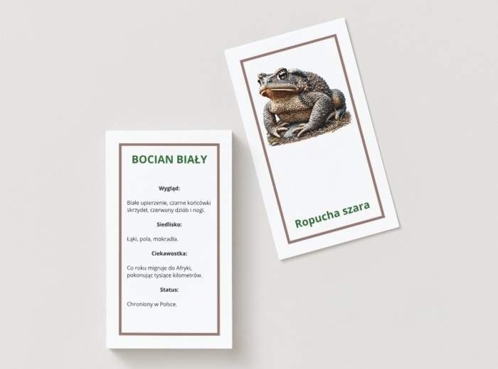 Zgadnij, kto to? - Gra. Karty z gatunkami roślin / zwierząt