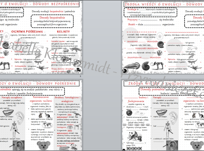 2 sketchnotki i 2 karty pracy w pdf do tematu „Źródła wiedzy o ewolucji”. Biologia klasa 8