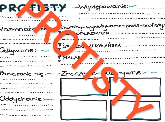 Protisty - czynności życiowe i znaczenie