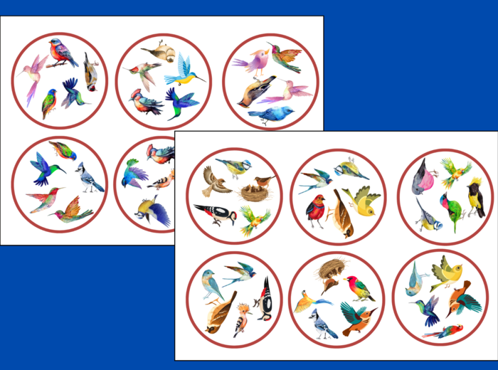 DZIEŃ PTAKÓW – wiosna - biblioteka – świetlica – przedszkole – DOOBLE – 36 szt.