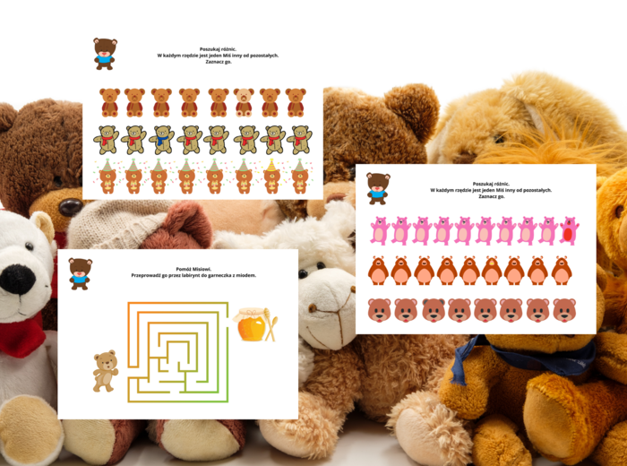 DZIEŃ PLUSZEWGO MISIA