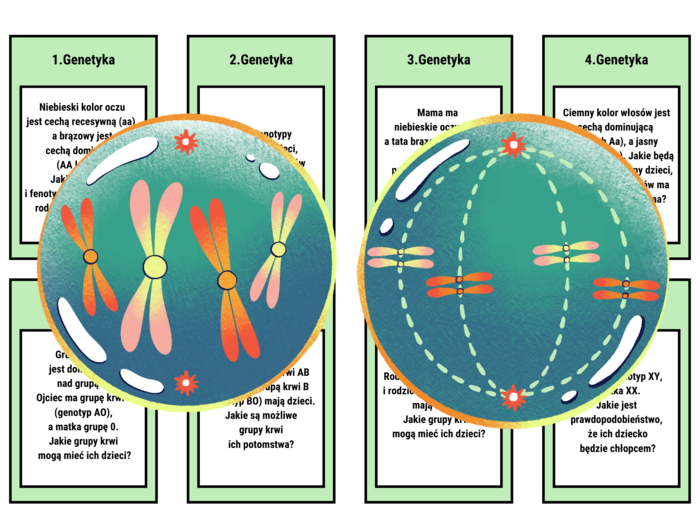 Klasa 8. Biologia. Genetyka. Gra planszowa. Pytania otwarte. Zadania - krzyżówki genetyczne. Karta odpowiedzi. Szachownica Punnetta