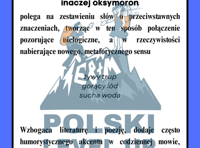 Środki stylistyczne_Polski Level Up