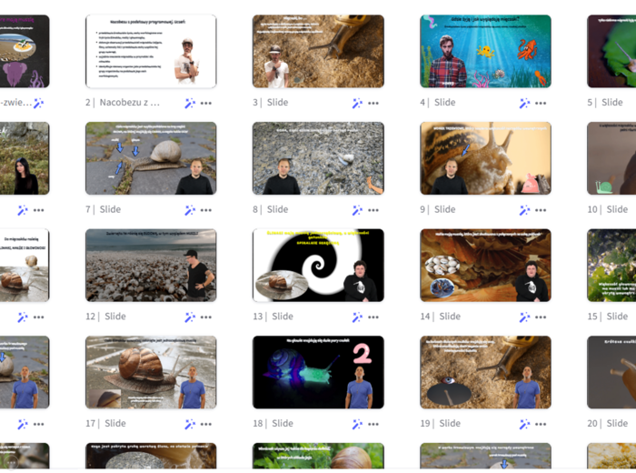 Prezentacja multimedialna w genial.ly „Mięczaki-zwierzęta, które mają muszlę” – do edycji i pobrania – biologia klasa VI, dział III – temat 5