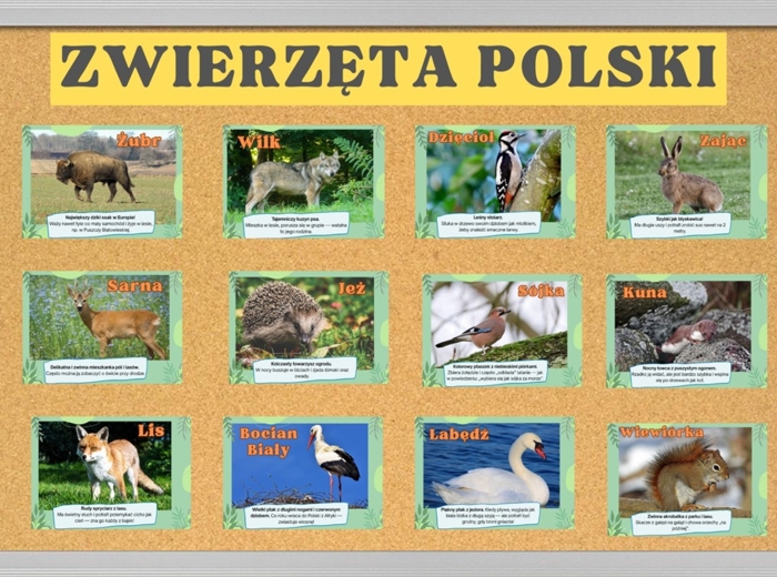 Gazetka Zwierzęta polski