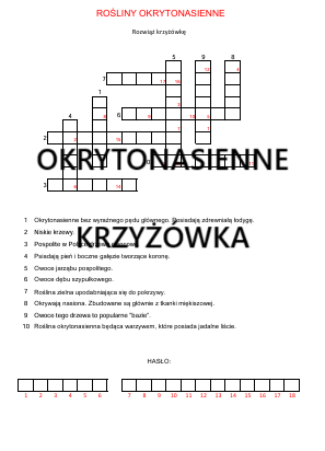 Rośliny okrytonasienne - krzyżówka