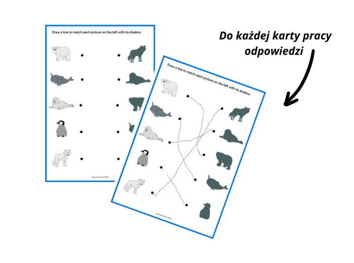 Winter Artic Animals Worksheet Set + Flashcards- zwierzęta arktyczne, karty pracy dla przedszkolaka, ucznia zerówki przedszkolnej, I spy, sudoku, labirynt, karty obrazkowe , język angielski