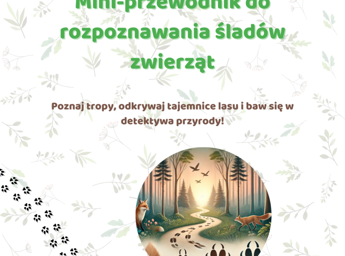 Mini-przewodnik do rozpoznawania śladów zwierząt