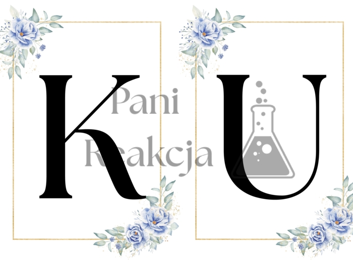 Girlanda Dzień Edukacji Narodowej