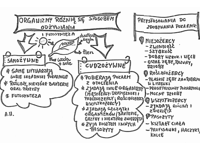 Organizmy różnią się sposobem odżywiania
