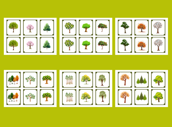 DZIEŃ DRZEWA – memory – 36 szt.