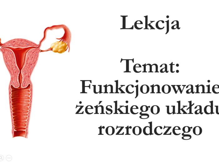 Klasa 7 - Funkcjonowanie żeńskiego układu rozrodczego - prezentacja
