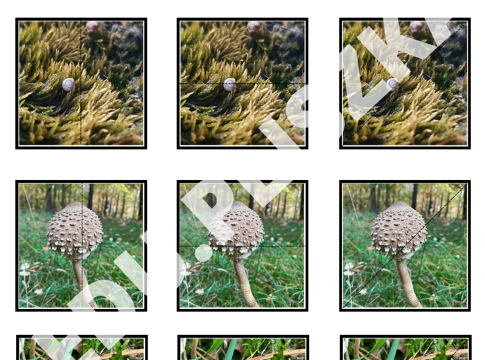 Pionowo, poziomo, na skos: pory roku