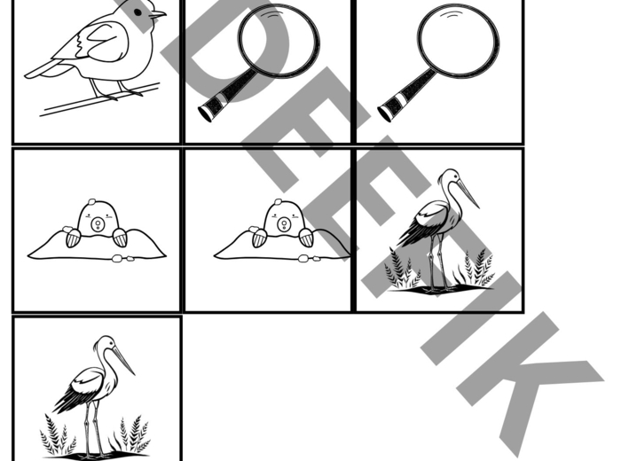 Lapbook - "Kapelusz Pani Wrony" + test sprawdzający wiedzę z lektury