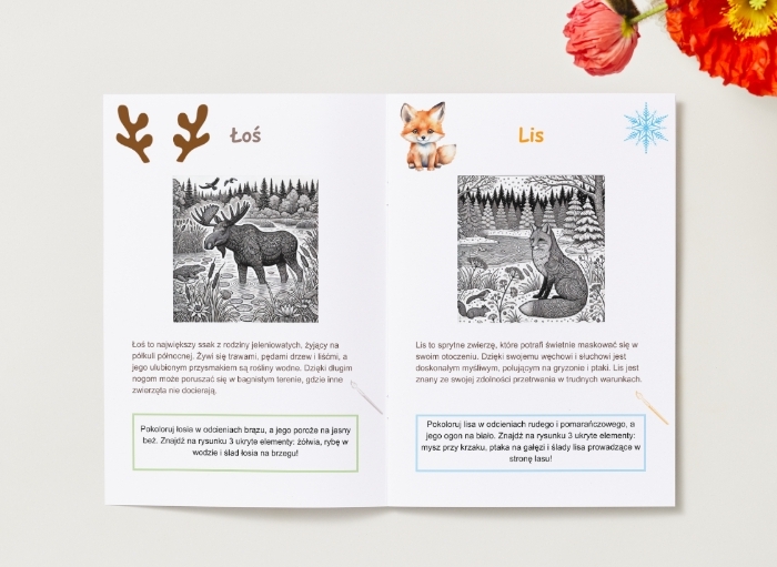 Kolorowanki. Zwierzęta