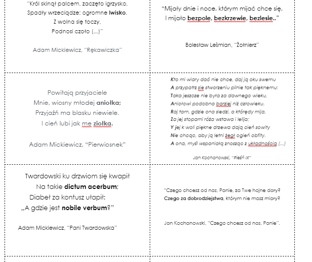 Środki stylistyczne (nazwa + przykład) karty dwustronne