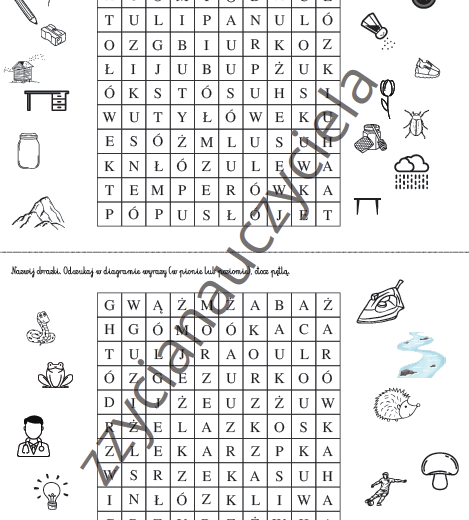 Ortografia: krzyżówki, wykreślanki, labirynty.