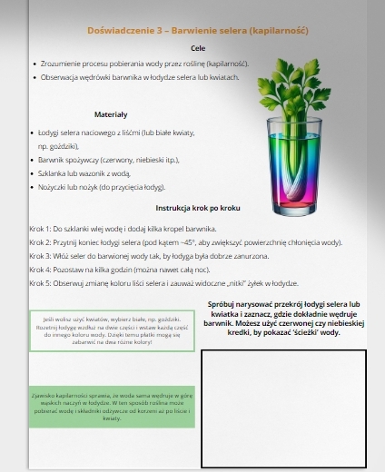 Proste doświadczenia przyrodnicze