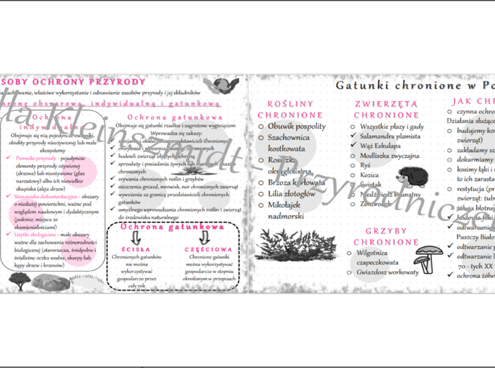 Sketchnotki „ Sposoby ochrony przyrody". Biologia klasa 8, dział IV „Człowiek i środowisko”