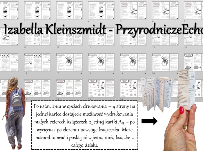 Zestaw broszurek/notatek/sketchnotek/wklejek/ściąg dla ucznia/przypomnień dla nauczyciela do całego działu w pdf. Biologia 6. Dział „Stawonogi i mięczaki”