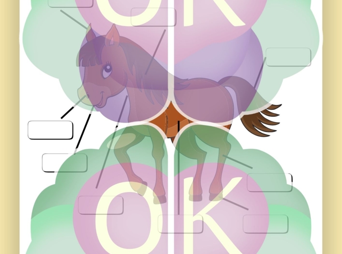 🦁 Animal Body Parts – Materiał dla dzieci (11 zwierząt) 🐢 Poznaj i podpisz części ciała zwierząt! – 12 stron pełnych nauki i zabawy, zwierzęta, części ciała, wycinanki, praca plastyczna, karty pracy, dzieci, angielski dla najmłodszych, opis zwierząt, A1.